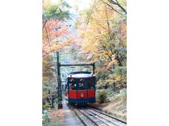 六甲山の紅葉の写真1