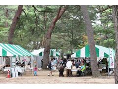 こうべ森の文化祭2025〜ワクワクいっぱい!森の文化祭〜の写真1