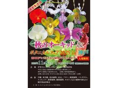 秋のオーキッド&ボタニカルフェア2025 in 神戸の写真1