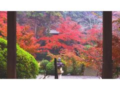 長岳寺の紅葉の写真1