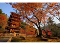 長谷寺もみじの写真1