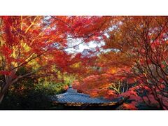 不退寺 秋期寺宝特別展の写真1