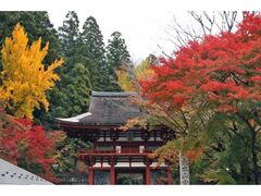 室生寺の紅葉の写真1