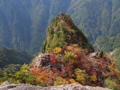 大台ヶ原の紅葉の写真1
