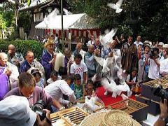 多宝塔秘仏大日如来像特別開扉の写真1