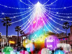 フェスタ・ルーチェ〜本当のクリスマスに出逢える場所〜の写真1