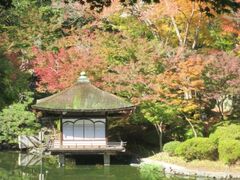 西之丸庭園(紅葉渓庭園)の紅葉の写真1