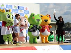印南かえるのフェスティバルの写真1