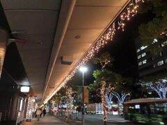 JR和歌山駅周辺イルミネーションの写真1