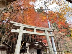 板井原集落の紅葉の写真1