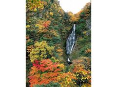 船上山の紅葉の写真1