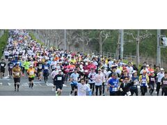 鳥取マラソンの写真1