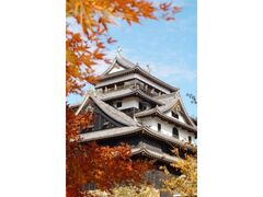 松江城の紅葉の写真1