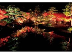 紅葉の由志園 夜間観賞会 紅葉ライトアップの写真1