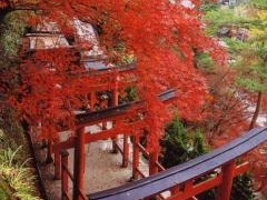 太皷谷稲成神社 例祭・秋季大祭の写真1