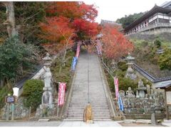 一畑薬師の紅葉の写真1