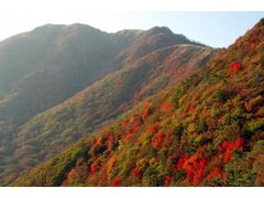 三瓶山の紅葉の写真1