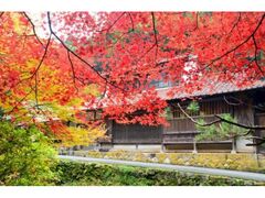 石見銀山の紅葉の写真1