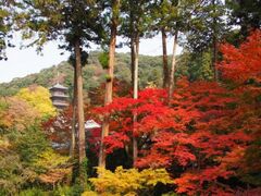 瑞光山清水寺の紅葉の写真1