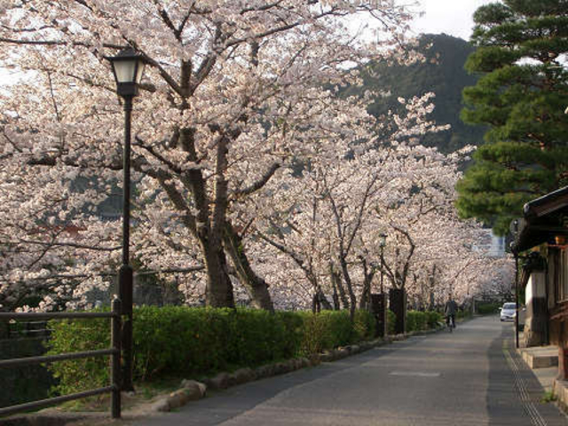 一の坂川