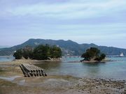 ウォーレンさんの尾鷲湾周辺の投稿写真1