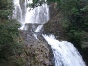 スヌさんの中国自然歩道八重滝コースの投稿写真1