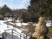 北の旅人さんの小金湯温泉の投稿写真1