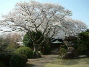 ルースさんの誕生院の投稿写真1