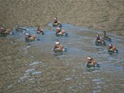 minamigaokaさんの丹沢湖の投稿写真1