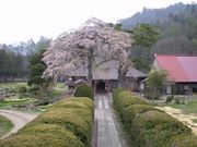 Aizu盆地さんの南泉寺の投稿写真1