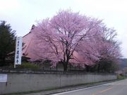 Aizu盆地さんの龍福寺の投稿写真1