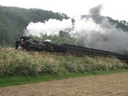 3103さんのSL「やまぐち号」(新山口〜津和野)の投稿写真1