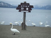 みぃさんのRECAMP砂湯 (砂湯野営場)の投稿写真1