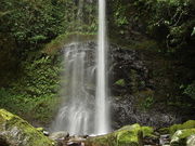 ぽんぽこさんの権現滝の投稿写真1