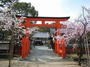 アレチンさんの玉津島神社の投稿写真1