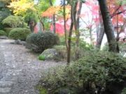 モスさんの春風萬里荘の投稿写真1