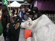 ウォーレンさんの岩津天満宮の投稿写真1