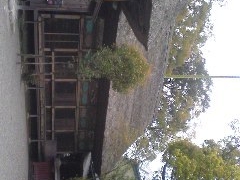 青井阿蘇神社の写真1