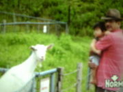きりんさんの郡山石筵ふれあい牧場の投稿写真1