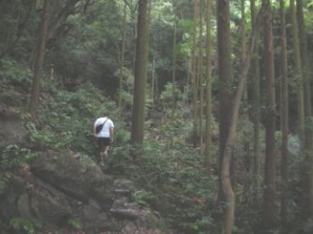 天の岩戸