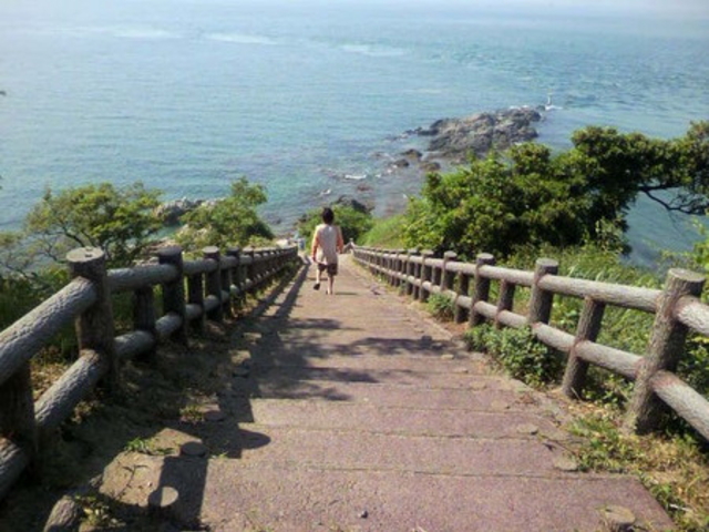 大角鼻