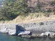 るみるみさんの勝山海岸の投稿写真1