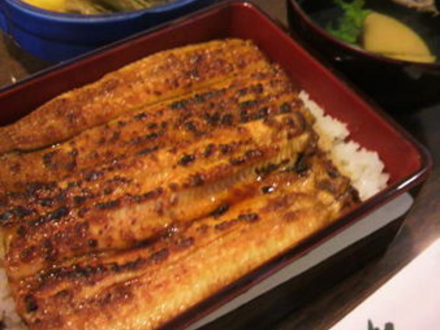 うなぎ専門店 本多