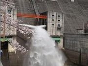 ひろさんの知明湖(一庫ダム)の投稿写真1