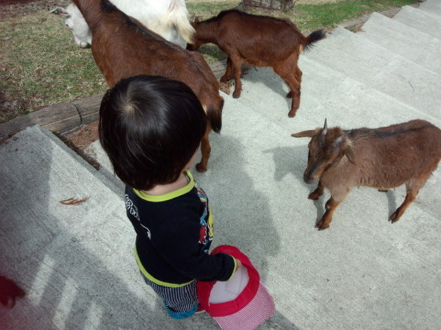 兵庫県立但馬牧場公園