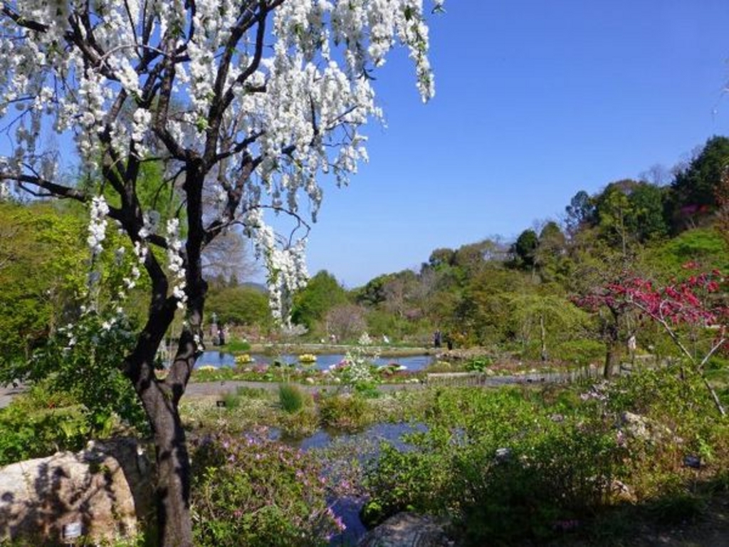 牧野植物園