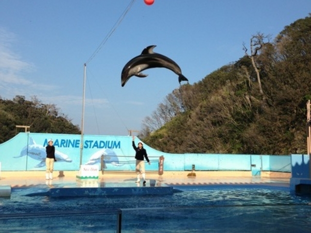 下田海中水族館
