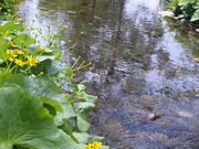 カンマルさんの六花の森の投稿写真1