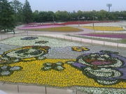 さらさんの長島温泉 湯あみの島の投稿写真1