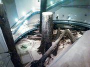 ほうでんさんのさんべ縄文の森ミュージアム(三瓶小豆原埋没林公園の投稿写真1